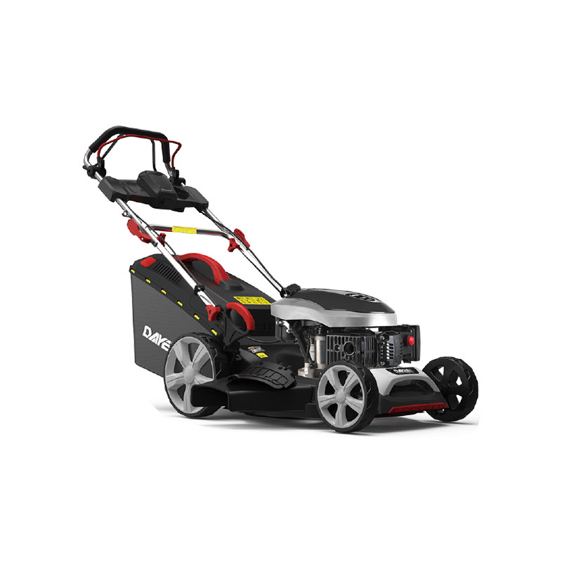 DY202-173SM-06E