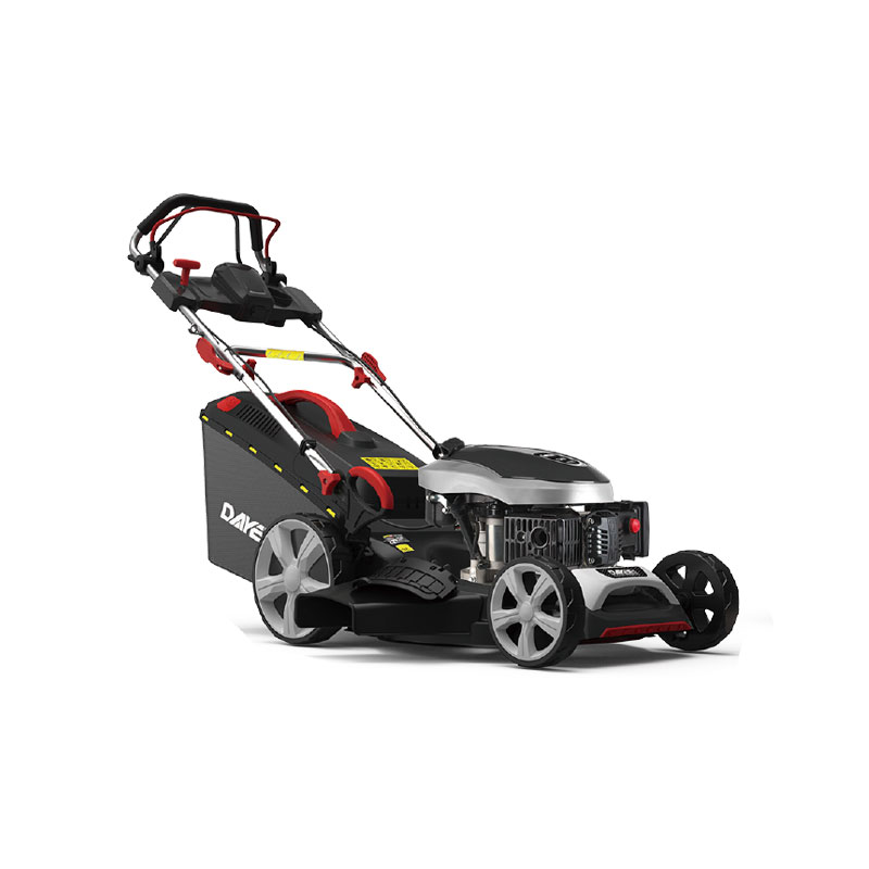 DY202-196SM-06VE
